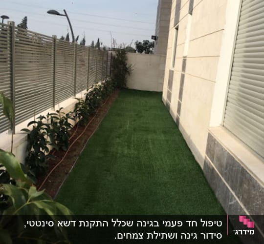 שיחים נטועים לאורך גדר על דשא ירוק